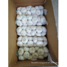 Chinese jinxiang 1kg pure white and normal white fresh garlic